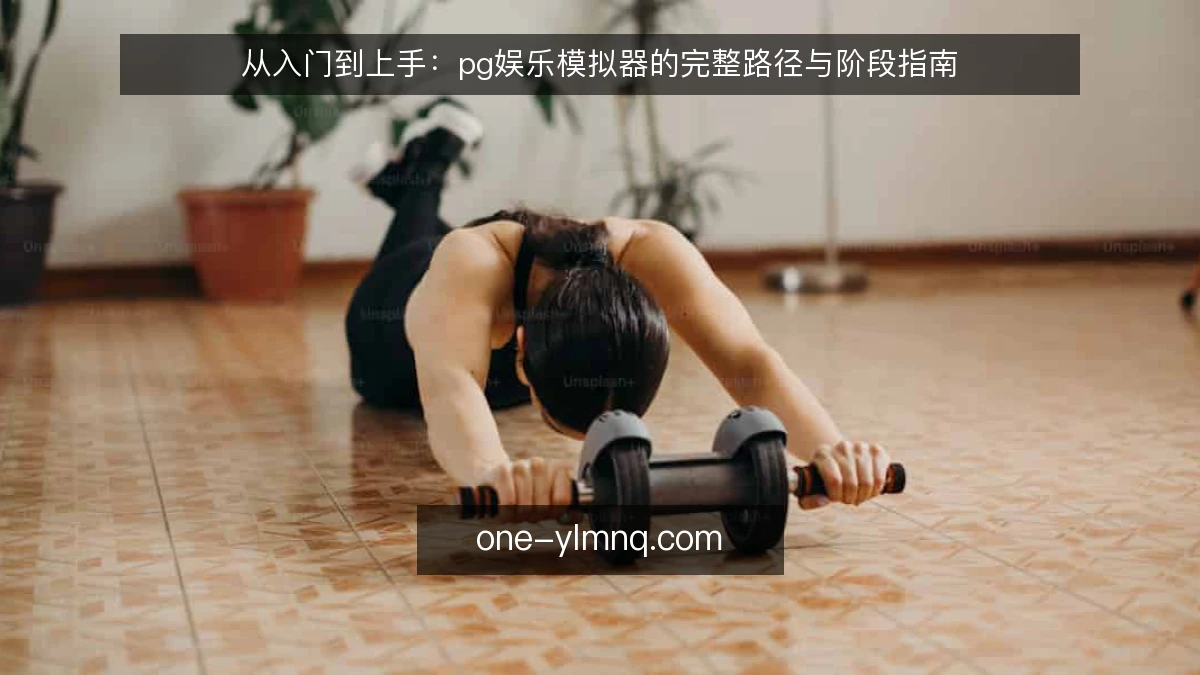 从入门到上手：pg娱乐模拟器的完整路径与阶段指南