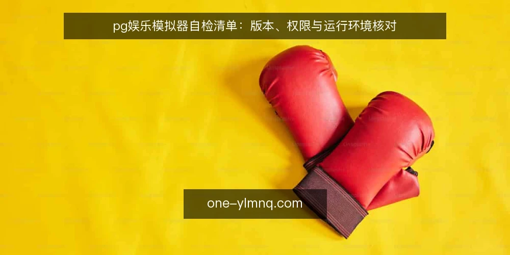 pg娱乐模拟器自检清单:版本、权限与运行环境核对 — 为何现在需要自检 配图